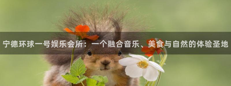 庄闲和游戏官网：宁德环球一号娱乐会所：一个融合音乐、美食与自然的体验圣地