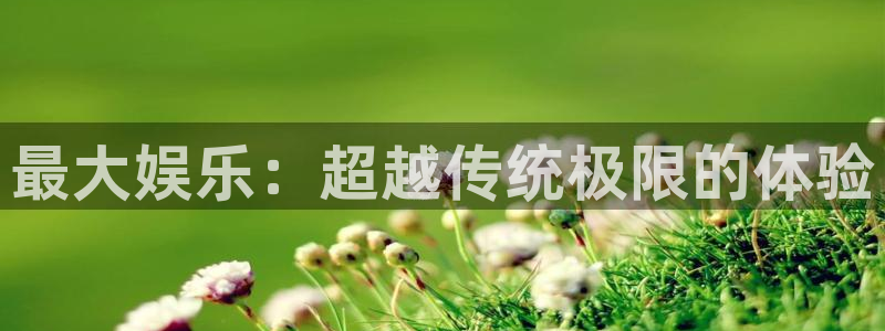 庄闲和游戏官网：最大娱乐：超越传统极限的体验