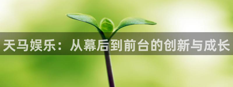 庄闲和游戏官网：天马娱乐：从幕后到前台的创新与成长