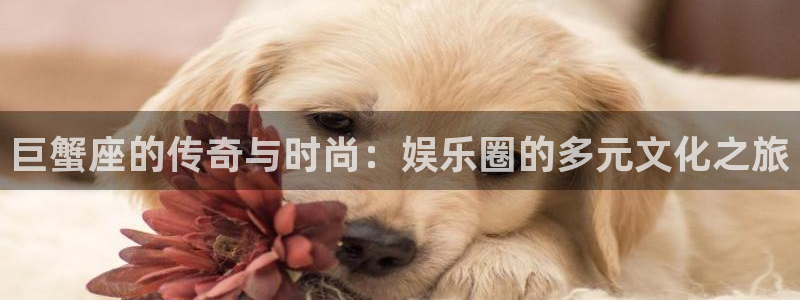 庄闲和游戏官网：巨蟹座的传奇与时尚：娱乐圈的多元文化之旅