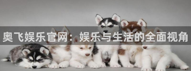 庄闲和游戏官网：奥飞娱乐官网：娱乐与生活的全面视角