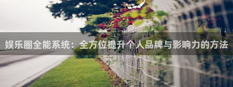 庄闲和游戏官网：娱乐圈全能系统：全方位提升个人品牌与影响力的方法