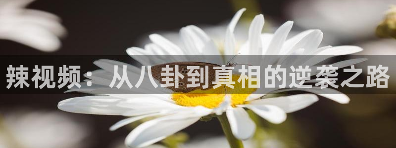 upload/20250701114914.jpg